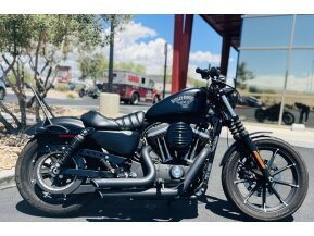 2017 Harley-Davidson Sportster Iron 883 for sale 201297956