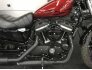 2017 Harley-Davidson Sportster Iron 883 for sale 201309526