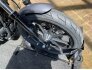 2017 Harley-Davidson Sportster Iron 883 for sale 201311300