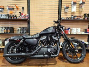 2017 Harley-Davidson Sportster Iron 883 for sale 201323545