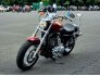 2017 Harley-Davidson Sportster 1200 Custom for sale 201329293