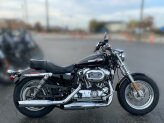 2017 Harley-Davidson Sportster 1200 Custom