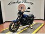 2017 Harley-Davidson Street 750 for sale 201211360