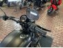 2017 Harley-Davidson Street 750 for sale 201274986