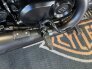 2017 Harley-Davidson Street Rod for sale 201268405