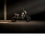 2017 Harley-Davidson Street Rod for sale 201315741