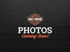 Thumbnail Photo 23 for 2017 Harley-Davidson Touring Street Glide