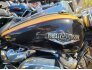 2017 Harley-Davidson Touring Road King for sale 201324336