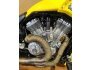 2017 Harley-Davidson V-Rod Muscle for sale 201323220