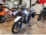 2017 Honda Africa Twin for sale 201303043