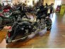 2017 Indian Chieftain for sale 201281510