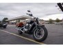 2017 Indian Scout for sale 201176577