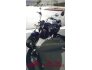 2017 Indian Scout for sale 201213434