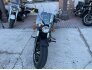 2017 Indian Scout for sale 201222859