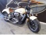 2017 Indian Scout for sale 201258788