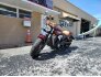 2017 Indian Scout for sale 201292422