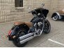 2017 Indian Scout for sale 201329186