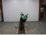 2017 Kawasaki Ninja 300 ABS for sale 201213867