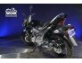 2017 Suzuki GW250 for sale 201218051