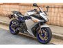 2017 Yamaha FZ6R for sale 201309818