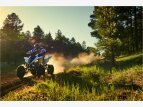 Thumbnail Photo 49 for 2017 Yamaha Raptor 700R