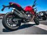 2018 Ducati Monster 821 for sale 201272547