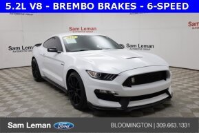 2018 Ford Mustang Shelby GT350 for sale 101860410