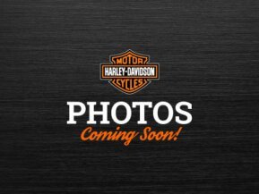 2018 Harley-Davidson Softail