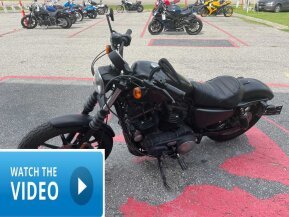2018 Harley-Davidson Sportster Iron 883 for sale 201148742