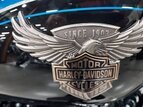 Thumbnail Photo 2 for 2018 Harley-Davidson Softail 115th Anniversary Heritage Classic 114