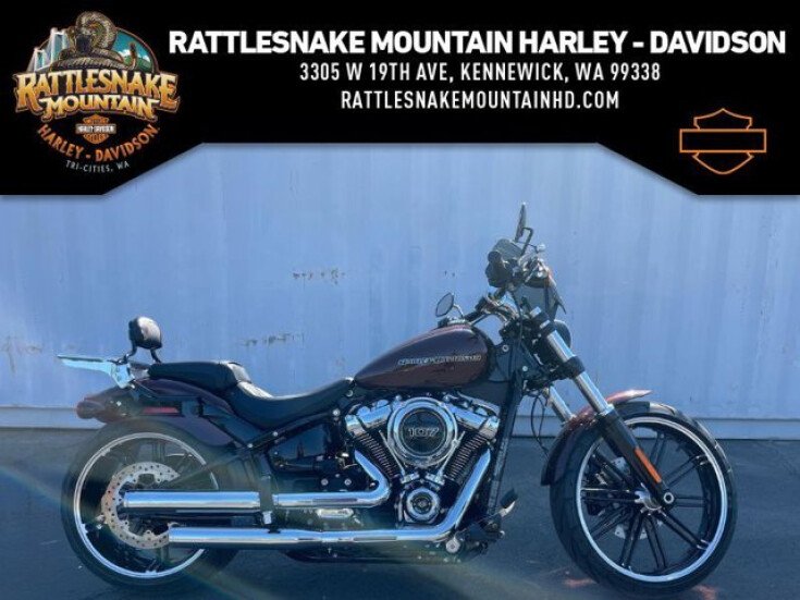 Thumbnail Photo undefined for 2018 Harley-Davidson Softail