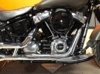 Thumbnail Photo 17 for 2018 Harley-Davidson Softail Slim