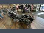 Thumbnail Photo 1 for 2018 Harley-Davidson Softail Low Rider