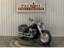 2018 Harley-Davidson Softail 115th Anniversary Fat Boy 114 for sale 201296328