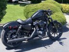 Thumbnail Photo 19 for 2018 Harley-Davidson Sportster Iron 883