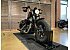 2018 Harley-Davidson Sportster Forty-Eight