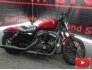 2018 Harley-Davidson Sportster Iron 883 for sale 201252259