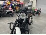 2018 Harley-Davidson Sportster Iron 883 for sale 201316269