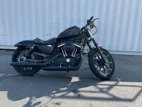 2018 Harley-Davidson Sportster Iron 883 for sale 201335923