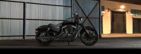 2018 Harley-Davidson Sportster Iron 883 for sale 201623204