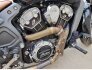 2018 Indian Scout for sale 201345697