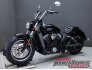 2018 Indian Scout for sale 201399532