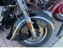 2018 Indian Springfield for sale 201252394