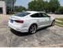 2019 Audi S5 for sale 101785506