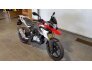 2019 BMW G310GS for sale 200763187