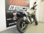 2019 BMW G310GS for sale 201284776