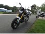 2019 BMW G310R for sale 200732519