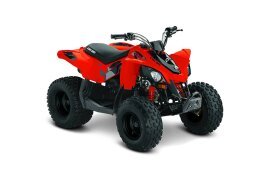 2019 Can-Am DS 250 90 specifications