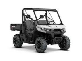 2019 Can-Am Defender DPS HD10 for sale 201214035