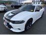 2019 Dodge Charger R/T for sale 101843197
